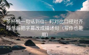 茶杯狐一句话到位：盯对比口径对齐吗然后把字幕改成描述句（写作也能用）