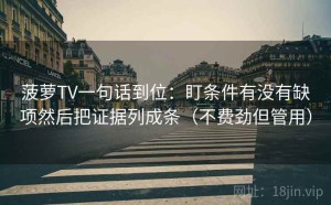 菠萝TV一句话到位：盯条件有没有缺项然后把证据列成条（不费劲但管用）